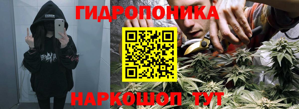 Конопля SATIVA & INDICA  Каннабис Bruce Banner  Марихуана LSD WEED  Орск  Бошки Шишки гибрид  Вход с VPN 